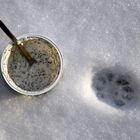 Mohn-Joghurt und Katzenpfotenabdruck im Schnee