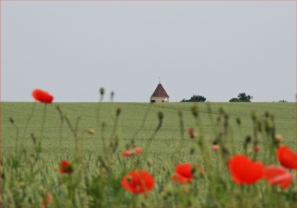 Mohn mit Kirchturm