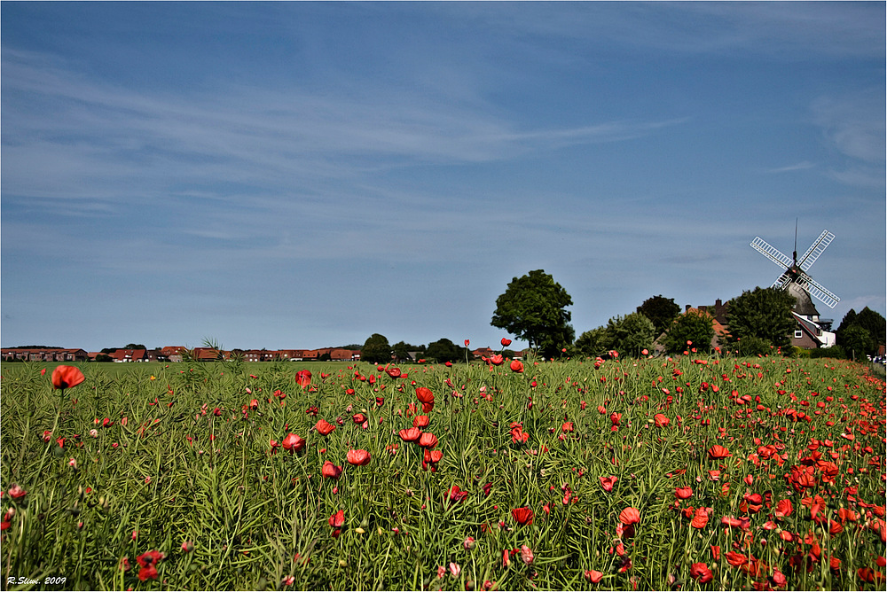 MOHN & MÜHLE