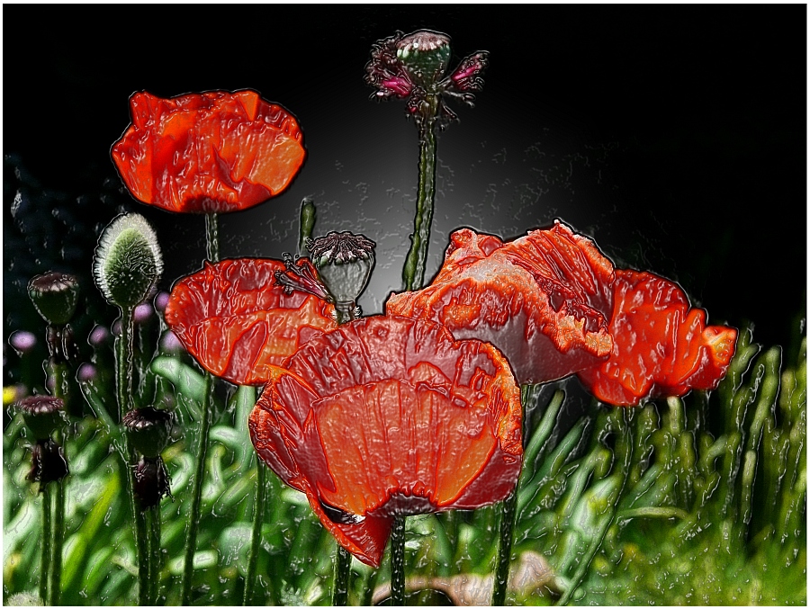 Mohn, naturidentisch