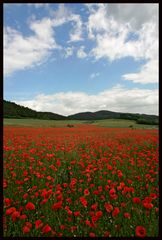 Mohn-River