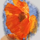 Mohn-Rubbelbild