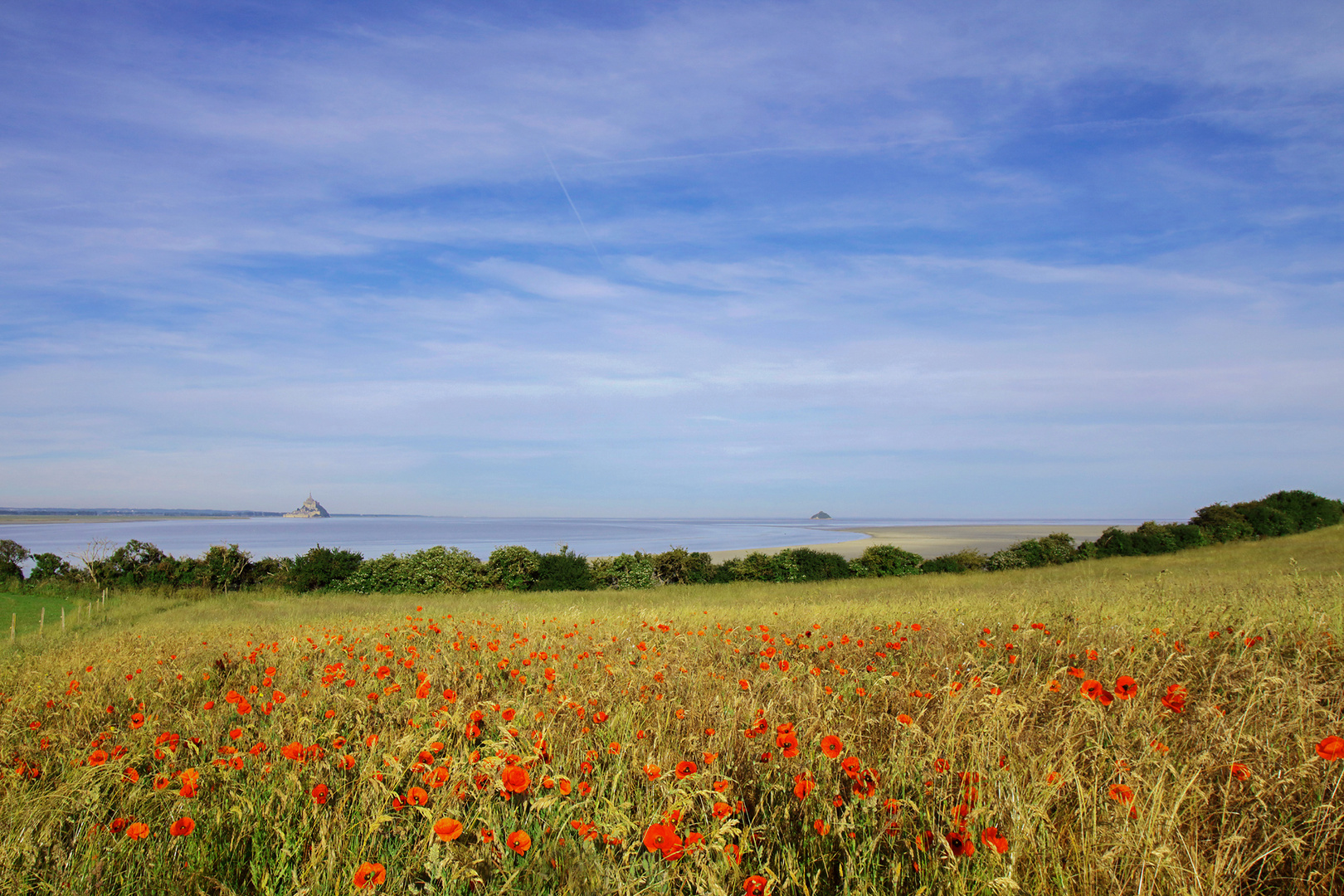 ~ Mohn-Saint-Michel ~