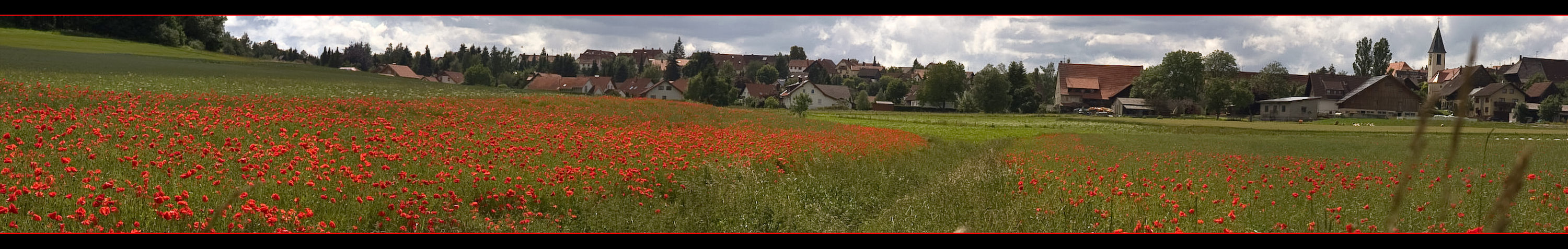 Mohn satt...