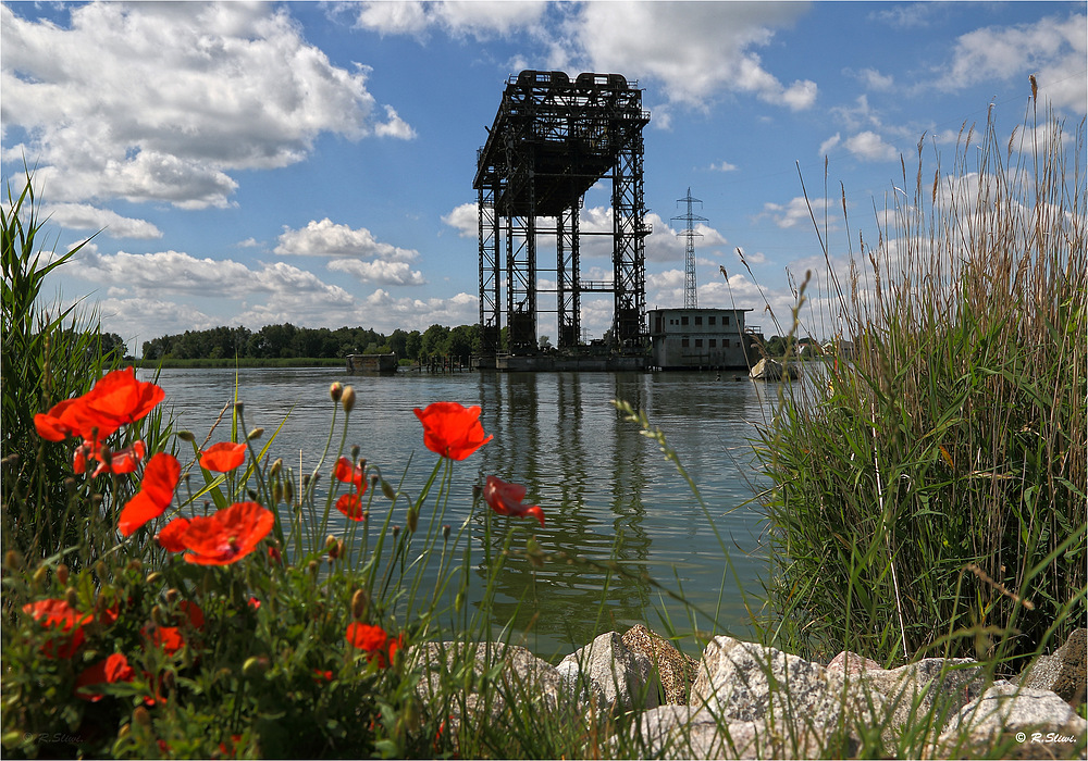 Mohn & Technik