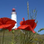 Mohn vor dem Leuchtturm Dornbusch