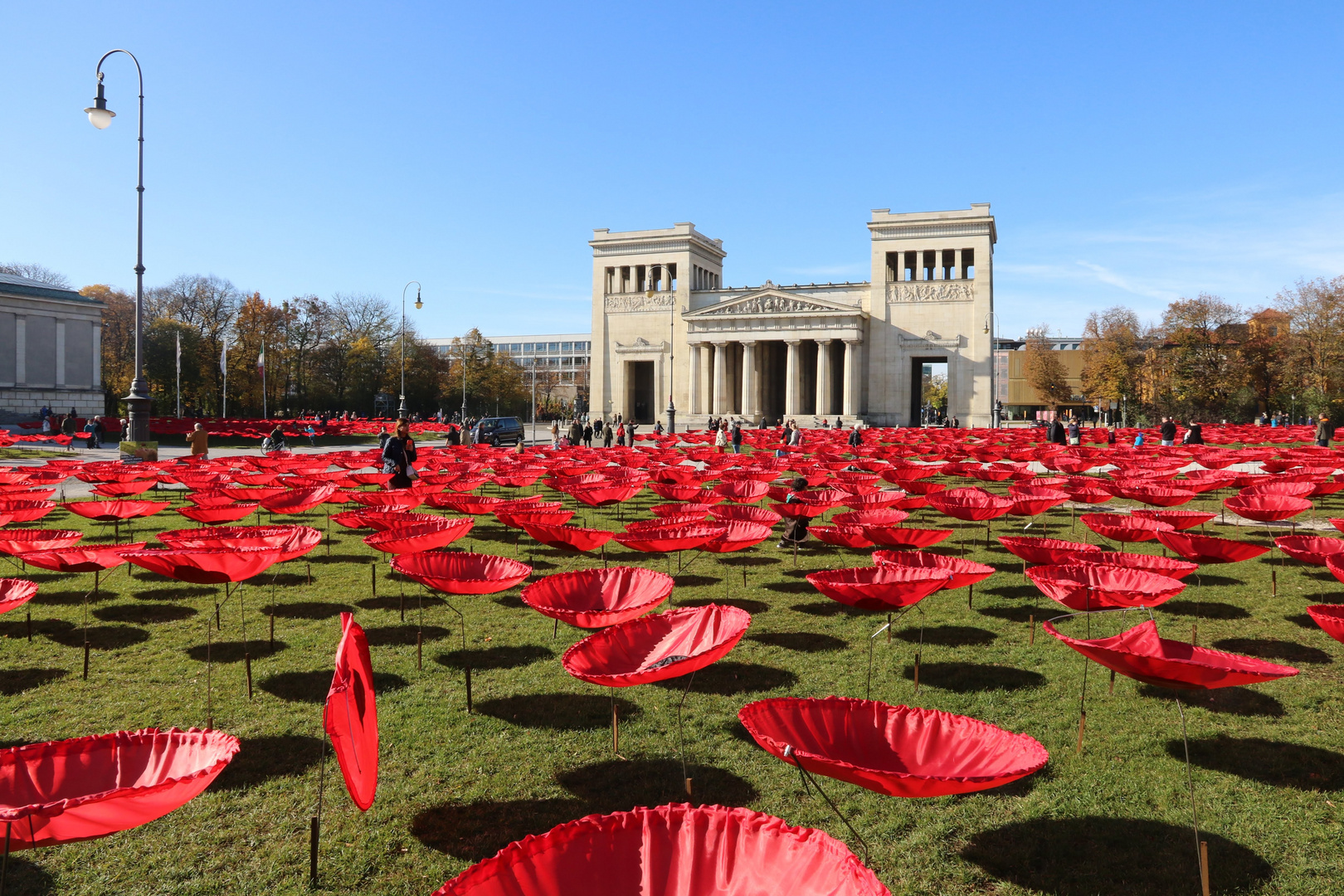 Mohn vor Museum