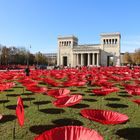 Mohn vor Museum