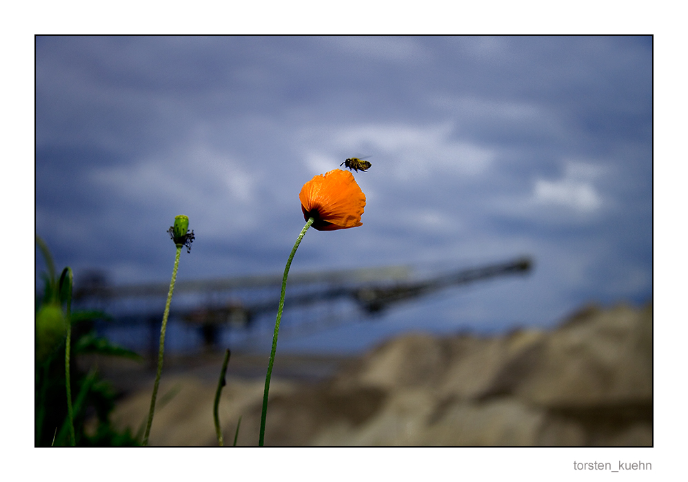 [Mohn vs. F60]