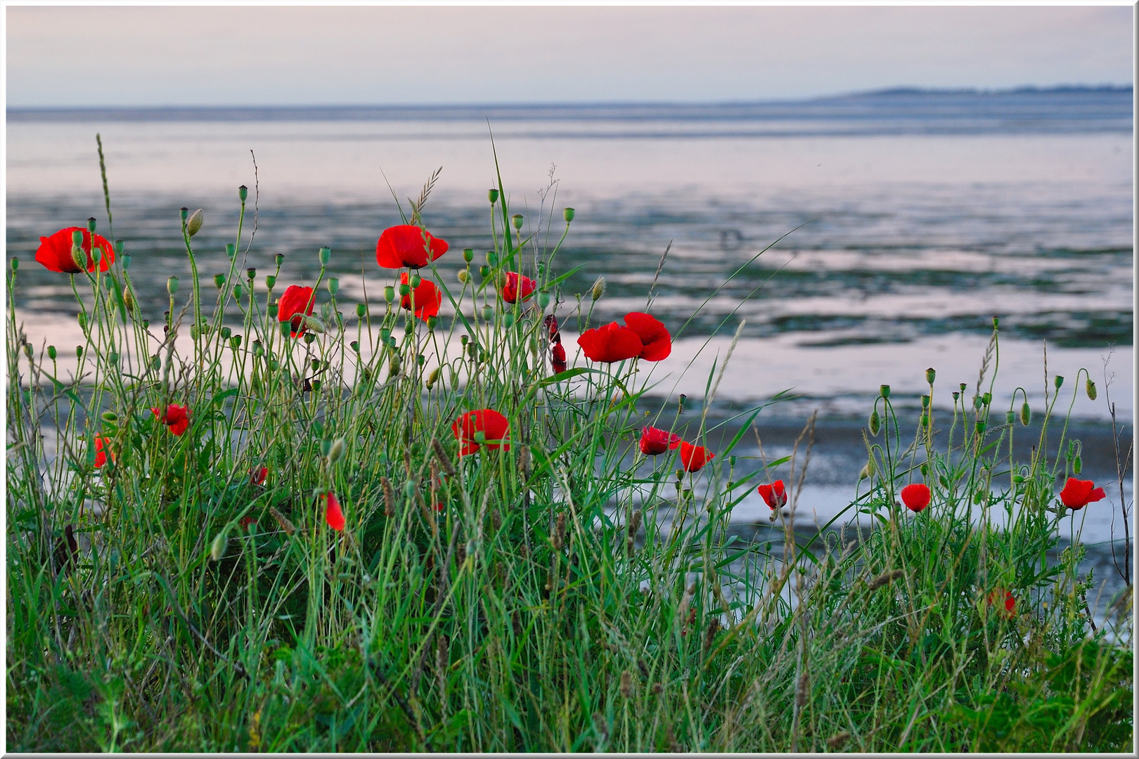 Mohn-Watt-Amrum (2010-07-13)