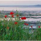 Mohn-Watt-Amrum (2010-07-13)