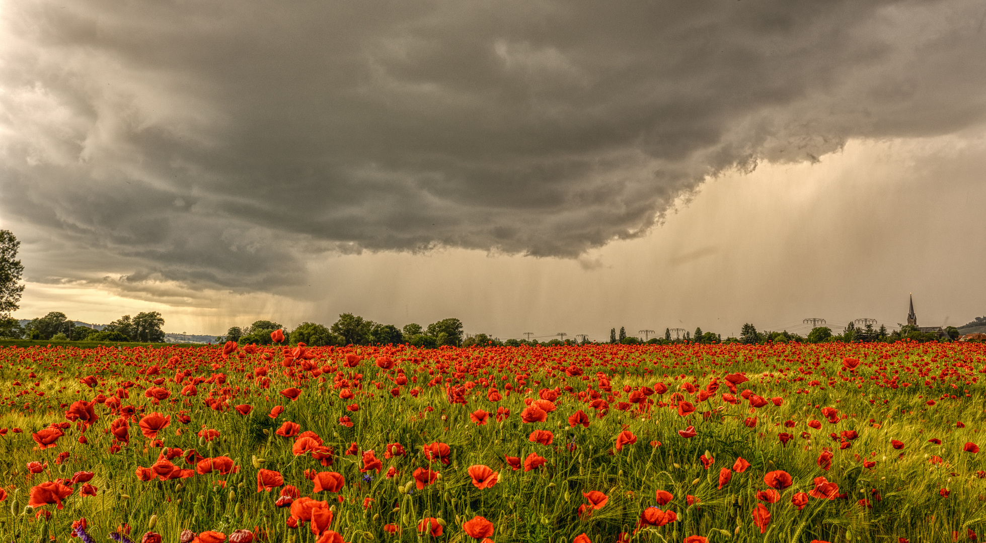 Mohn Wolken Regen