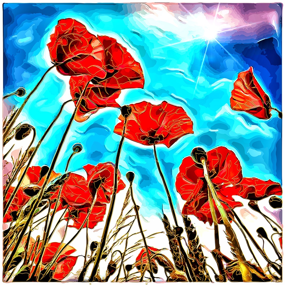 MOHN_01