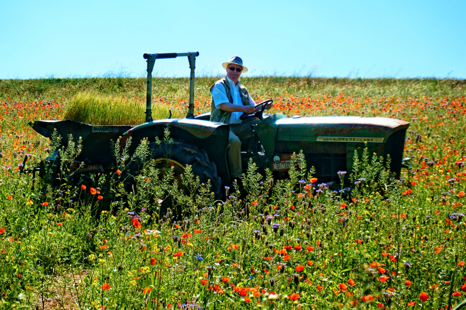 Mohnblütenfest 2019 im Naturpark Hoher Meißner - Traktor im Mohnfeld