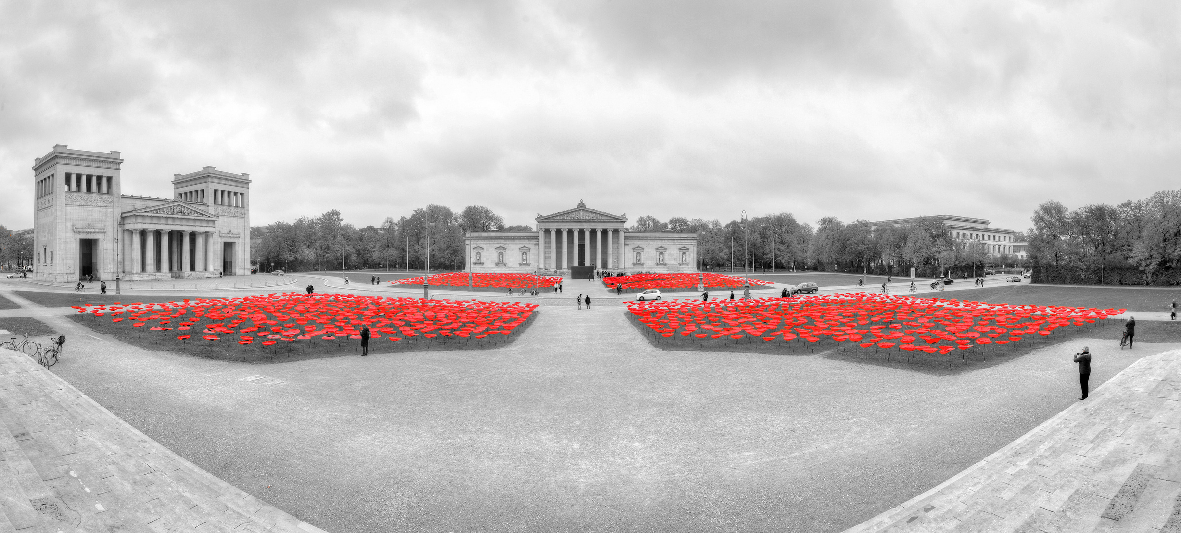 Mohnblumen auf dem Königsplatz