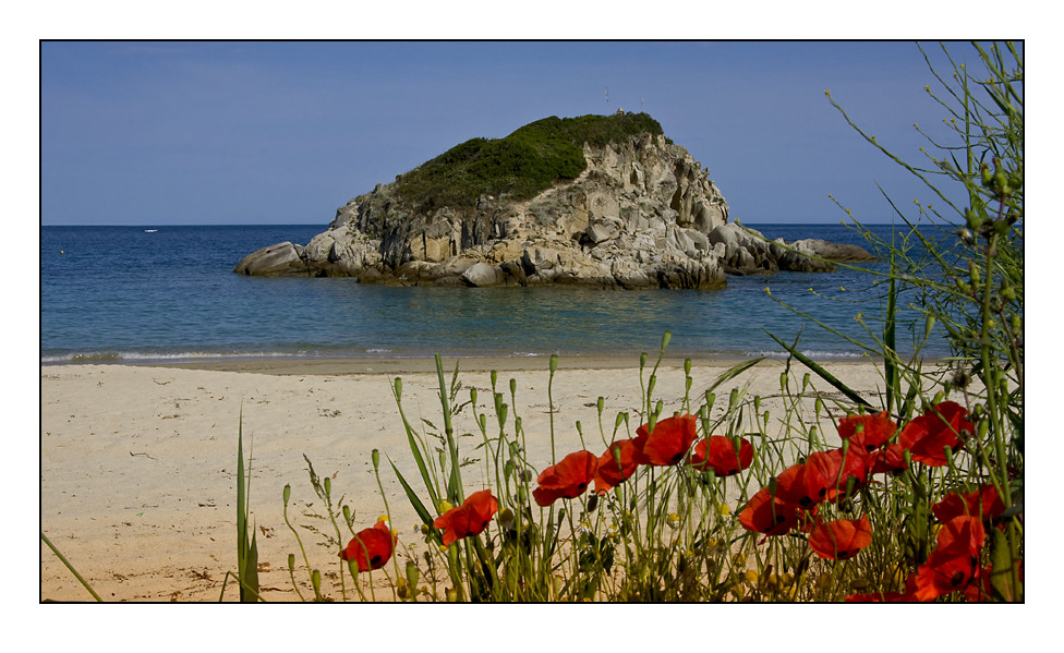 Mohnblumen bis zum Strand...