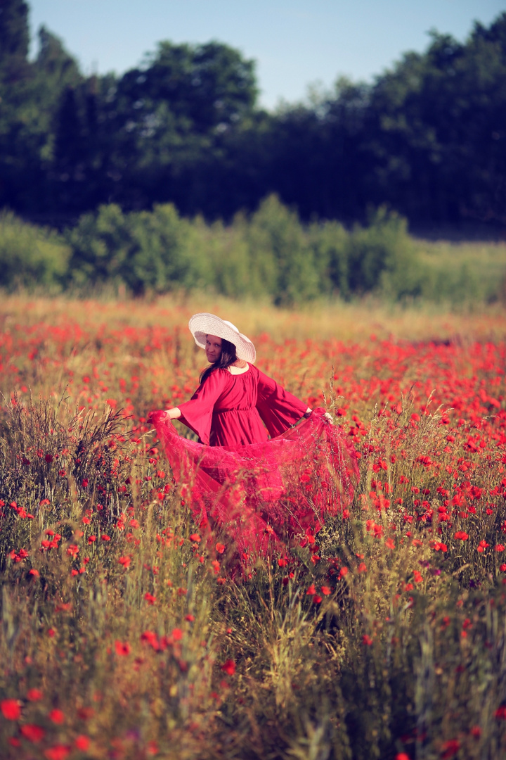 Mohnblumen Feld 