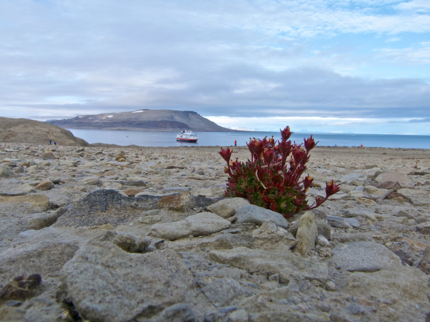 Mohnbukta, MS FRAM, Svalbard Nordost