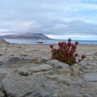 Mohnbukta, MS FRAM, Svalbard Nordost