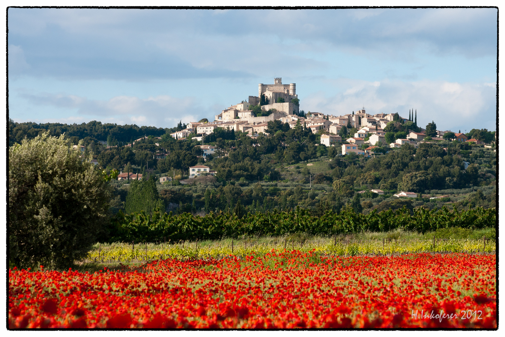 Mohnfeld bei Le Barroux II