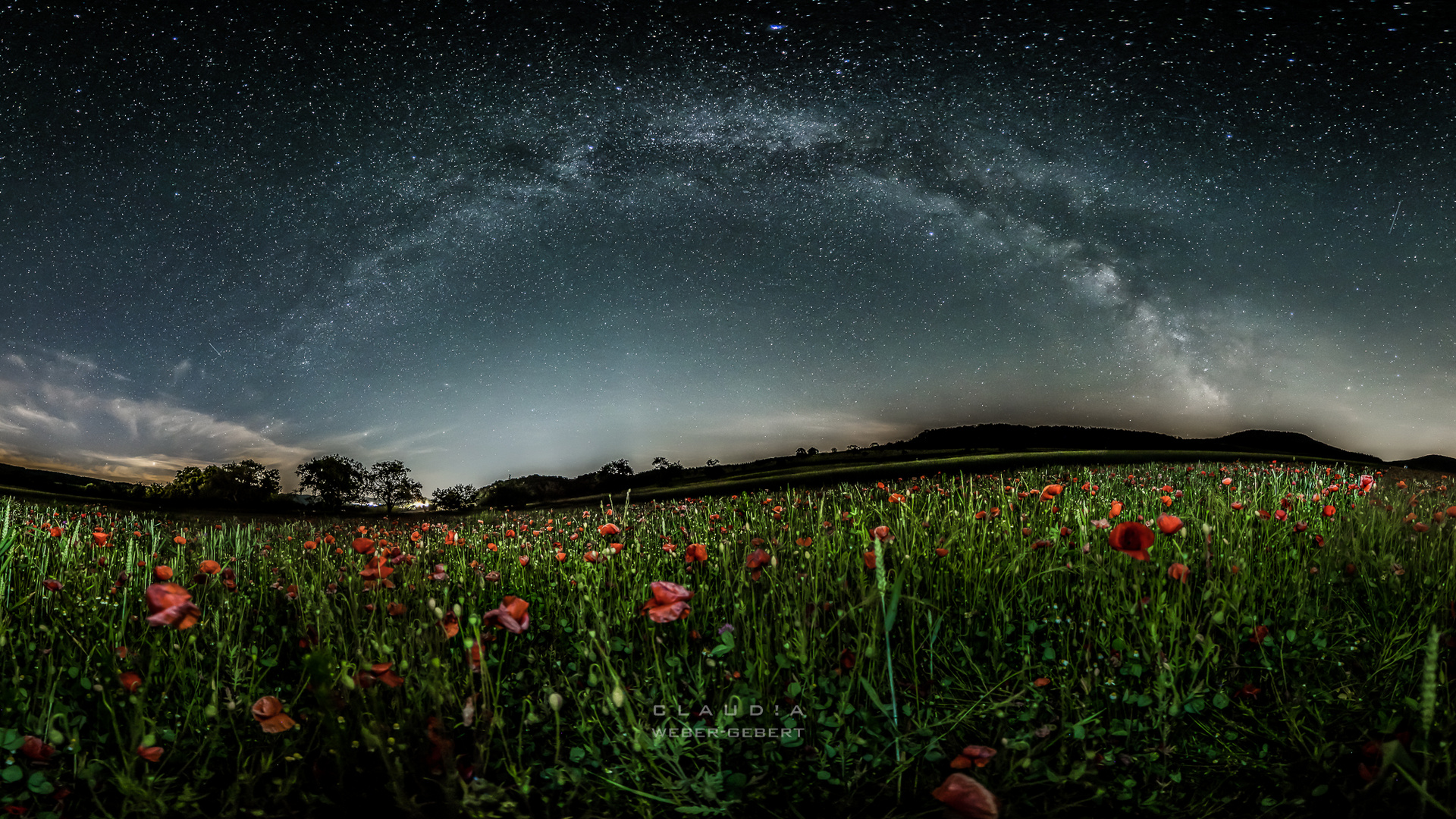 Mohnfeld bei Nacht...