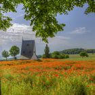 Mohnfeld im Maifeld Eifel