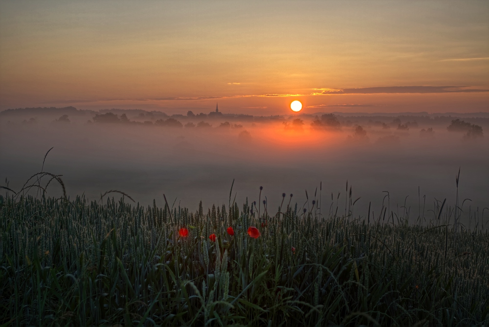 Mo(h)ntag im Nebel