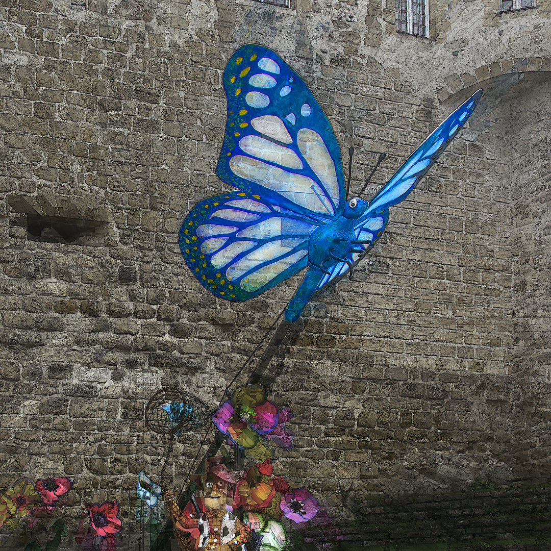 Moi aussi j'ai mon papillon!