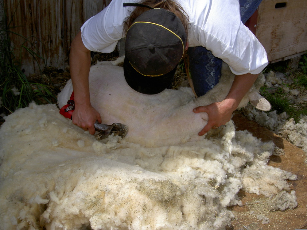 moi dans un de mes job