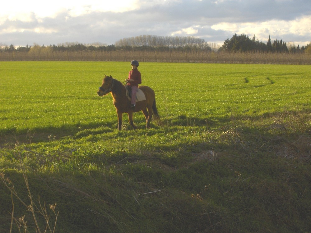 Moi en balade avec Farouq