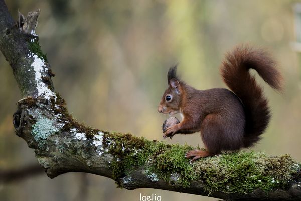 moi est speedy on vous souhaite un bon weekend a tous 