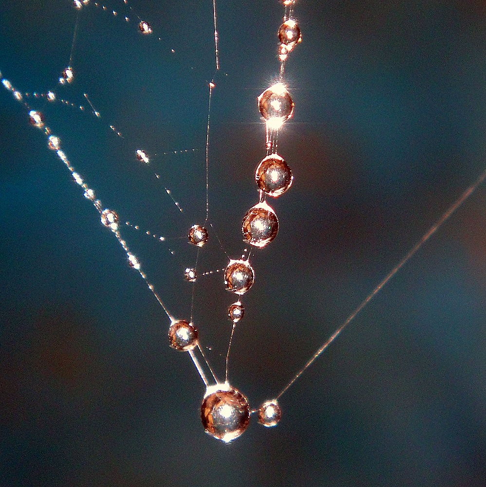 Moi, je t'offrirai... des perles de pluie...