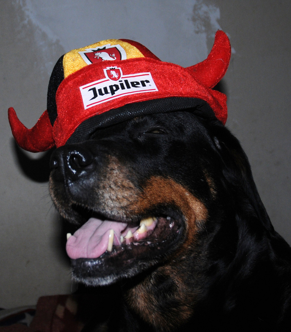 Moi jupiler jamai 2