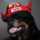 Moi jupiler jamai 2