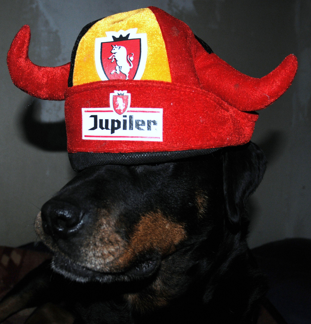 Moi jupiler jamai