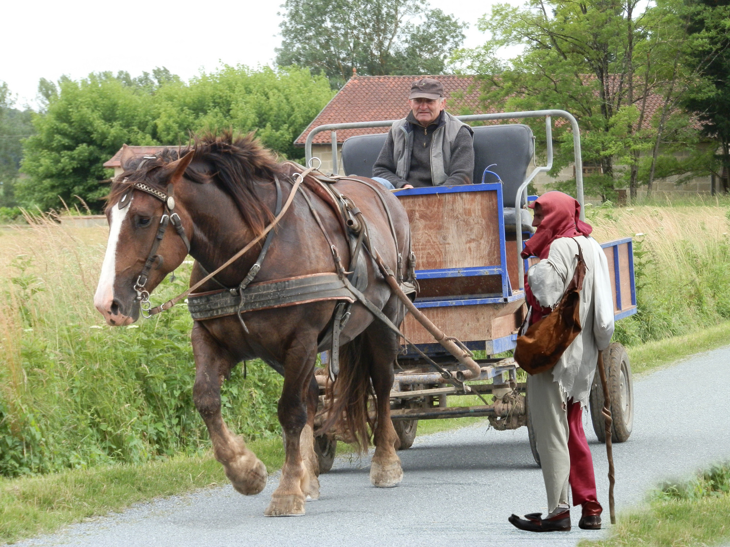 Moi ! le cheval j' ai un peu la trouille