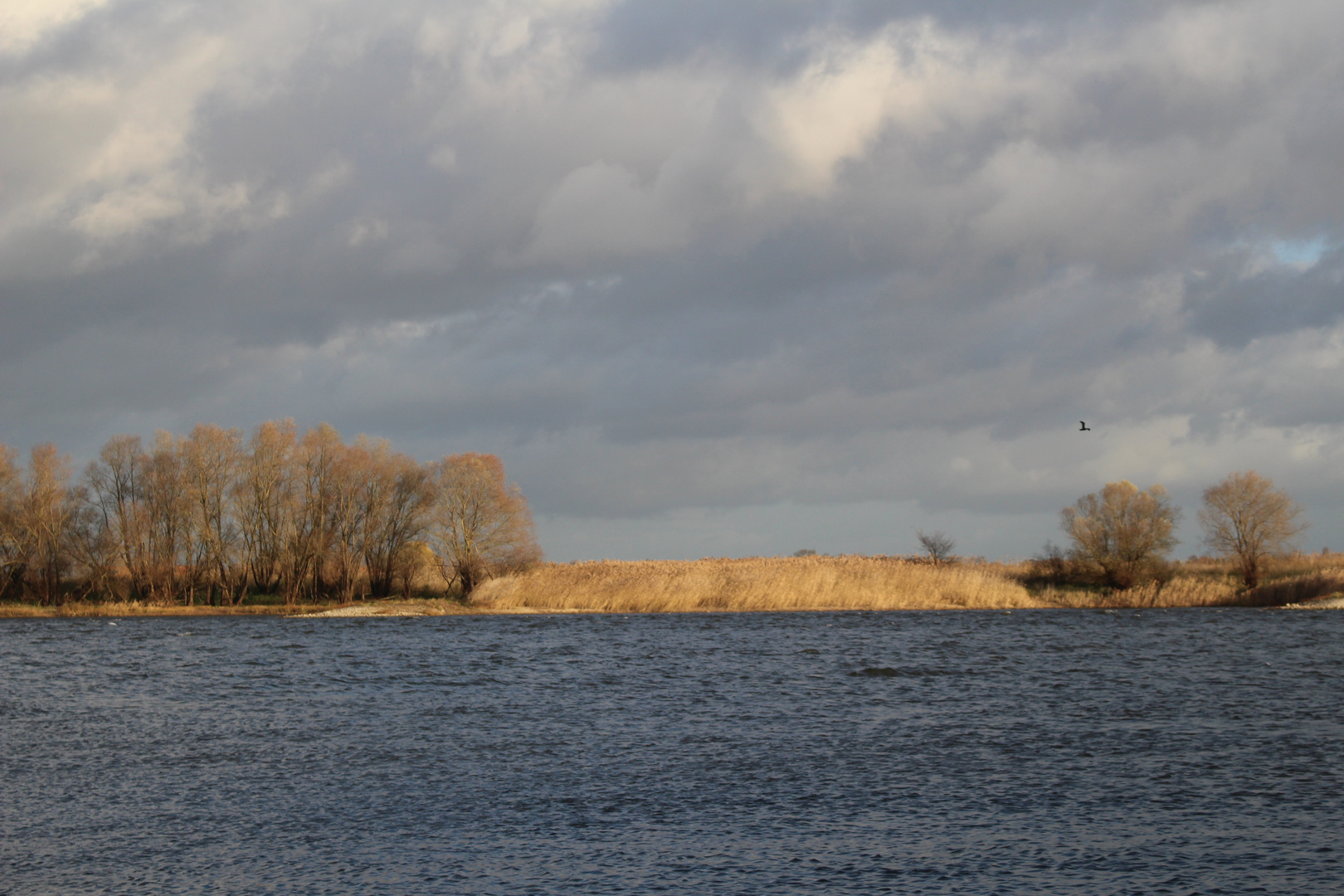 Moin aus dem Wendland und von der Elbe