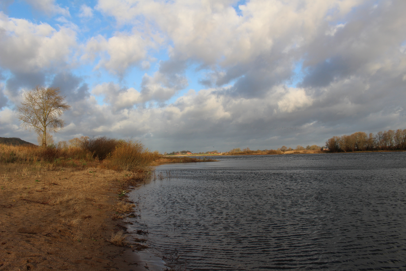 Moin aus dem Wendland und von der Elbe 2