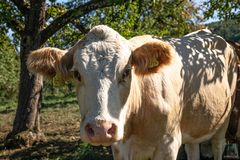 Moin, ausgeschlafen?