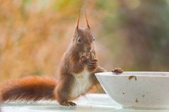 Moin! Frühstück!