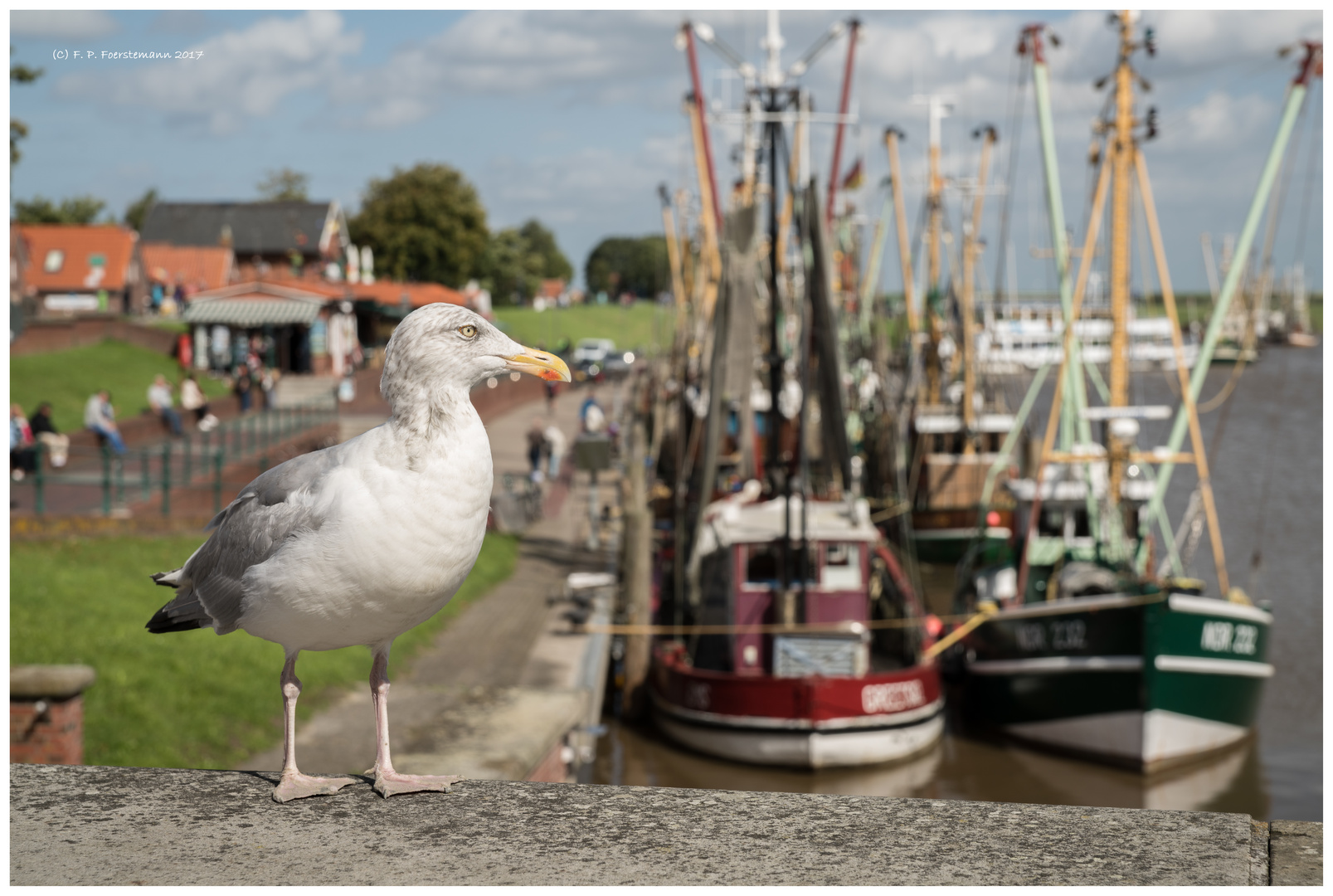 Moin, Greetsiel!