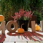 Moin Herbst - Moin autumn