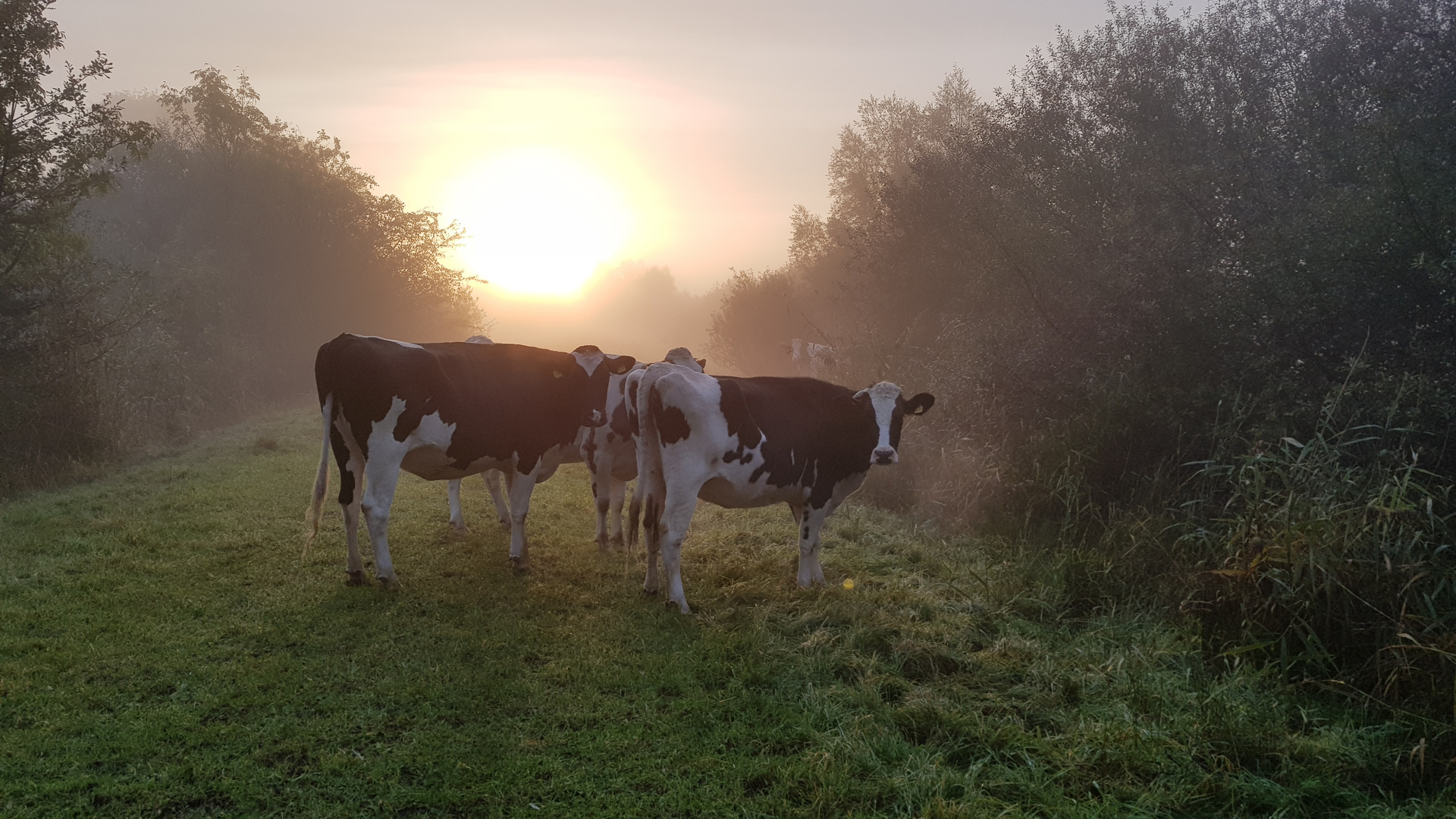 Moin Mädels