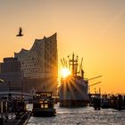 Moin Moin aus Hamburg