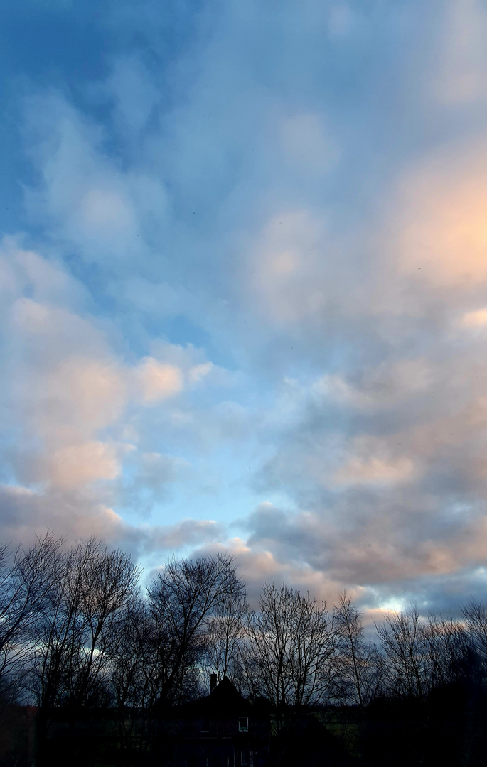 Moin! Welches Wetter setzt sich heute durch?