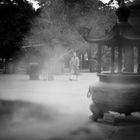 Moine, Lantau Monastery, Hong Kong