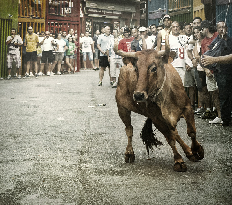 Moixent,Valencia,2014