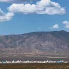 Mojave Air & Spaceport