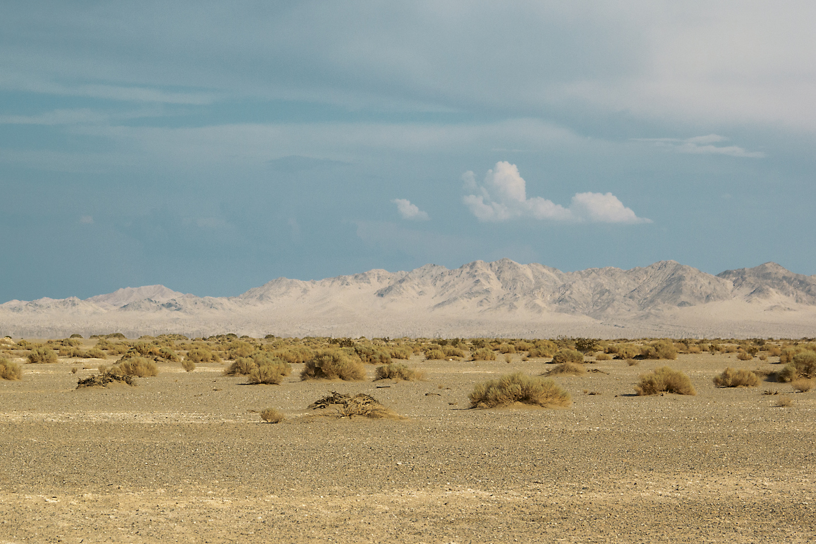 Mojave Desert 2