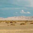 Mojave Desert 2